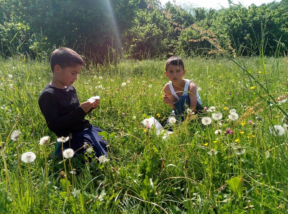 I Bimbisvegli vanno in campagna