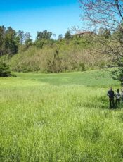 Entrare in natura, chiedendo permesso e poi, scusa!